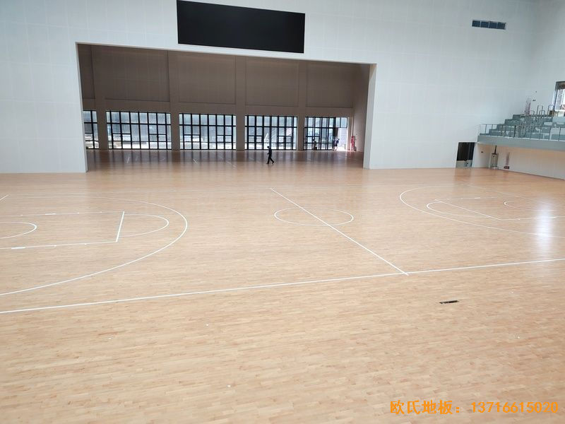 �Ĵ��_(d��)������W(xu��)Ժ�w��ľ�ذ尲�b����