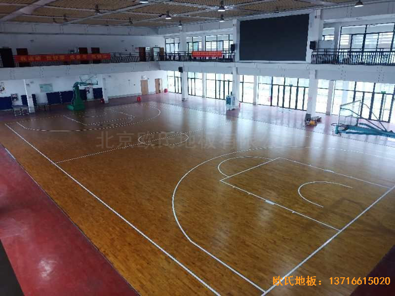 �V�����e���^�õ��ЌW(xu��)�\(y��n)��ľ�ذ���O(sh��)����