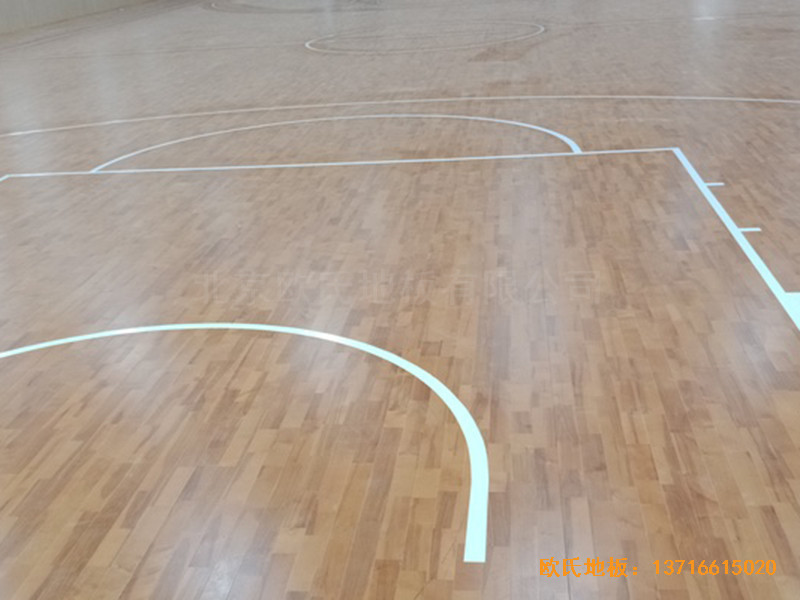 �V���ό����F�C��Ӗ���^�\�ӵذ尲�b����5