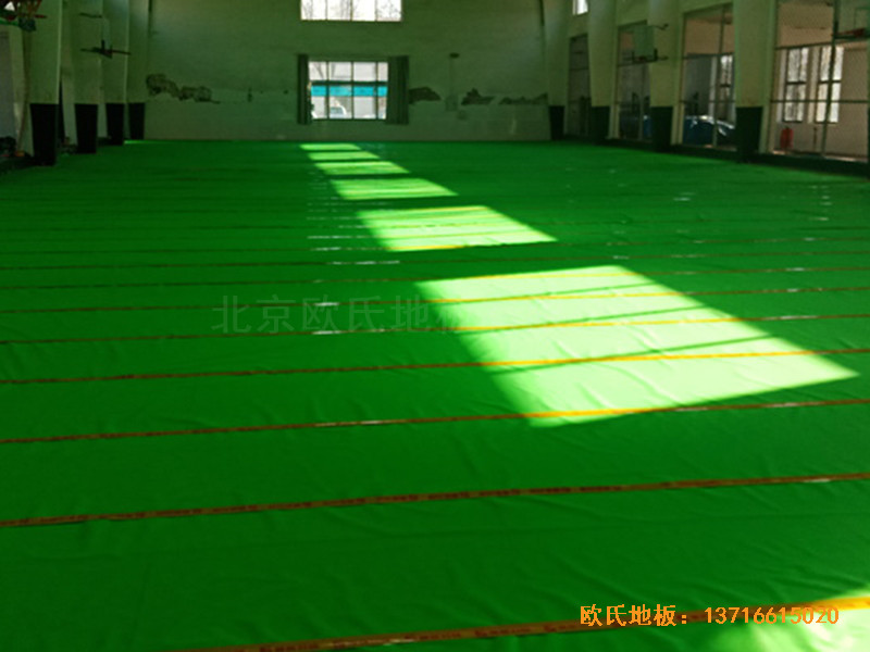 �ӱ������w���W(xu��)���@���^�\��ľ�ذ尲�b����2
