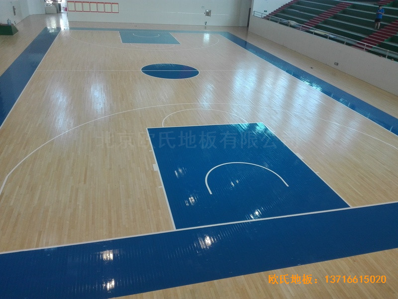������ꖵ�ʮ���ЌW(xu��)�w���^�\��ľ�ذ���b����5