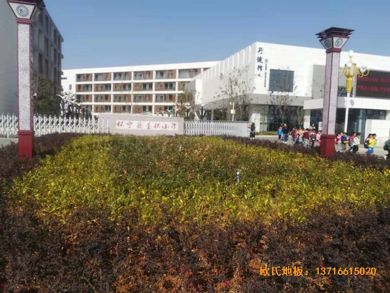 ���Ցь��@���^�\��ľ�ذ尲�b����0