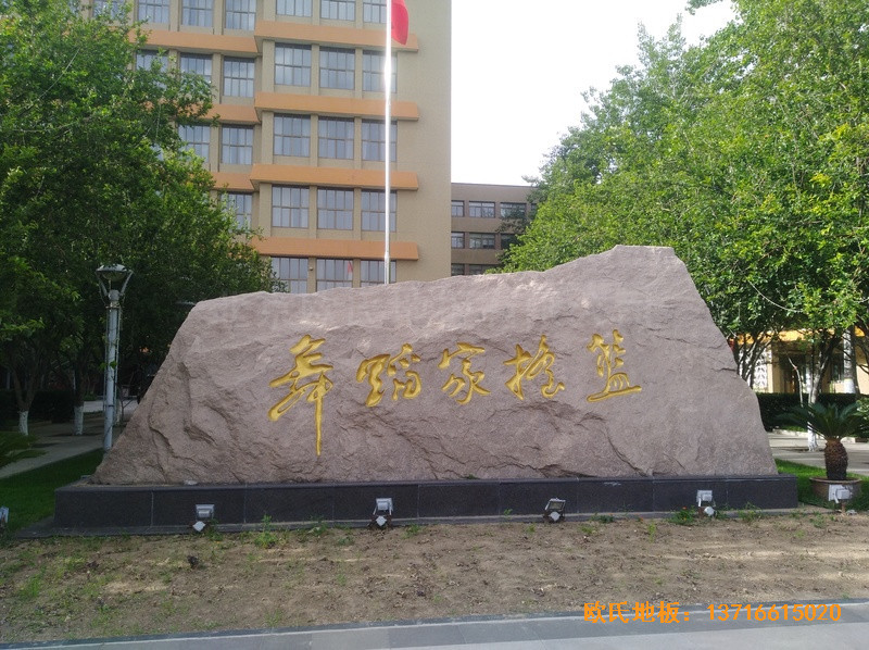 �����赸�W(xu��)Ժ�w���ذ尲�b����