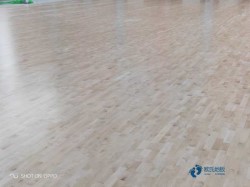 �w���^ľ�ذ�ÿƽ�׃r(ji��)��