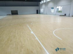 ��Ҋ�w���ذ�z�y�M��