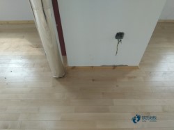 �@����w��ľ�ذ�ʩ��