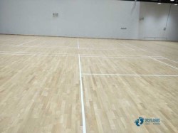 25���\(y��n)��(d��ng)�w���ذ��Ă�(g��)�����^�h(hu��n)��