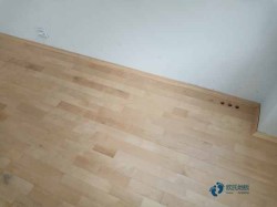 �w���\(y��n)��(d��ng)��(sh��)ľ�ذ�Ʒ������Щ