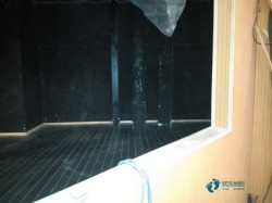 �����w���@��ľ�ذ��Ă�(g��)���ӵĺ�